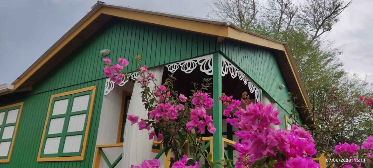 Hotel Yellow Home Providencia Isla South West Bay 외부 사진